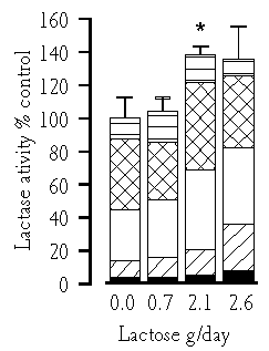 Lactase activity in the rat, graph